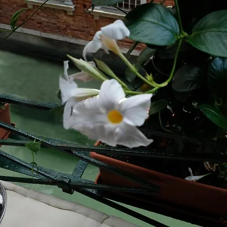 San Polo 1948 Centre *